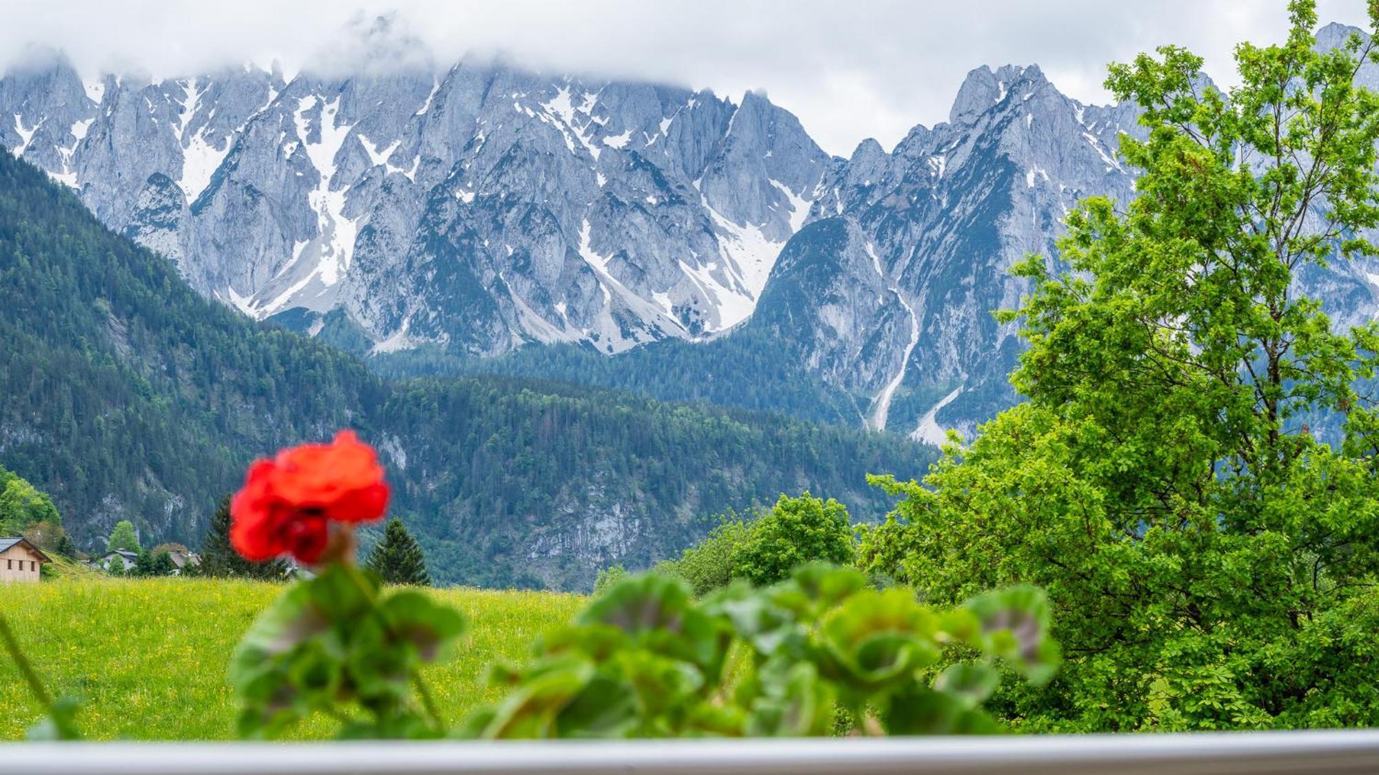 Haus Friedrich Hotel Gosau Ngoại thất bức ảnh